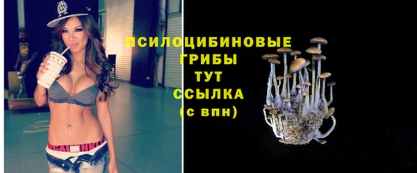 бошки Абаза