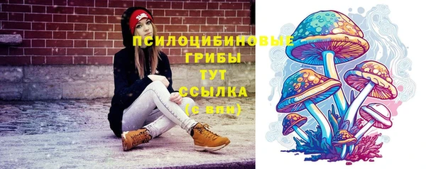 спайс Алексин