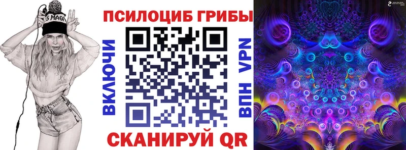 KRAKEN вход  Сальск  Псилоцибиновые грибы Psilocybine cubensis  наркошоп 