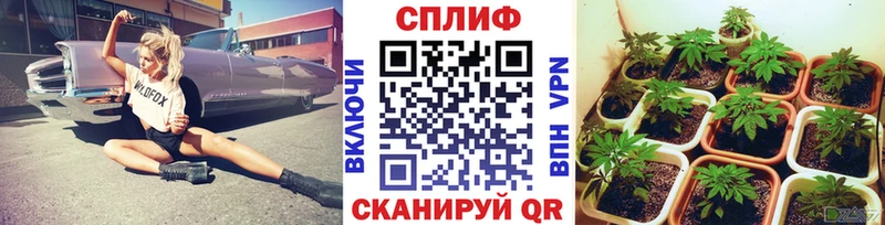 Бошки Шишки план  даркнет сайт  Сальск 